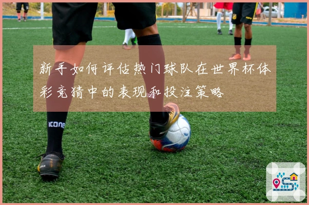新手如何评估热门球队在世界杯体彩竞猜中的表现和投注策略
