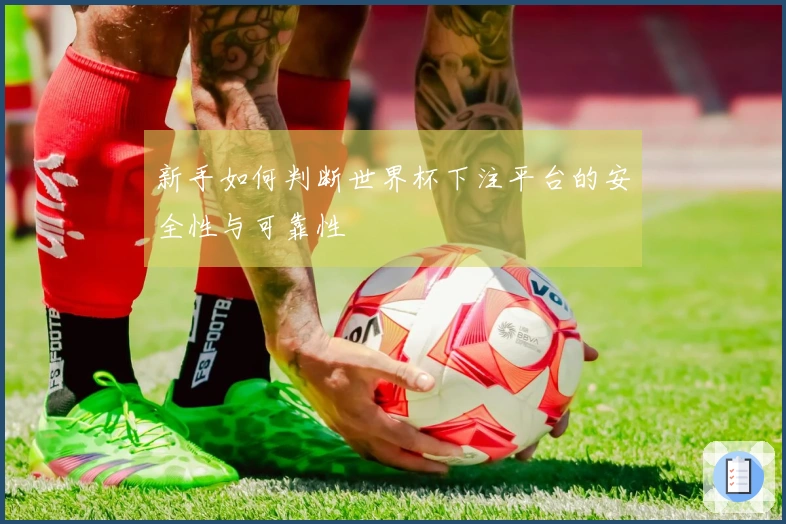 新手如何判断世界杯下注平台的安全性与可靠性