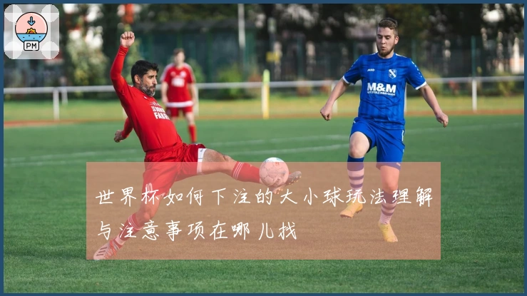 世界杯如何下注的大小球玩法理解与注意事项在哪儿找