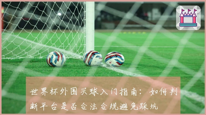世界杯外围买球入门指南：如何判断平台是否合法合规避免踩坑