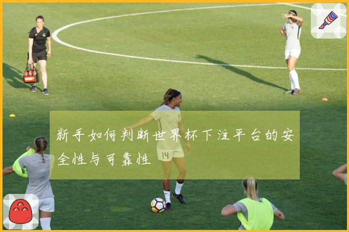 新手如何判断世界杯下注平台的安全性与可靠性