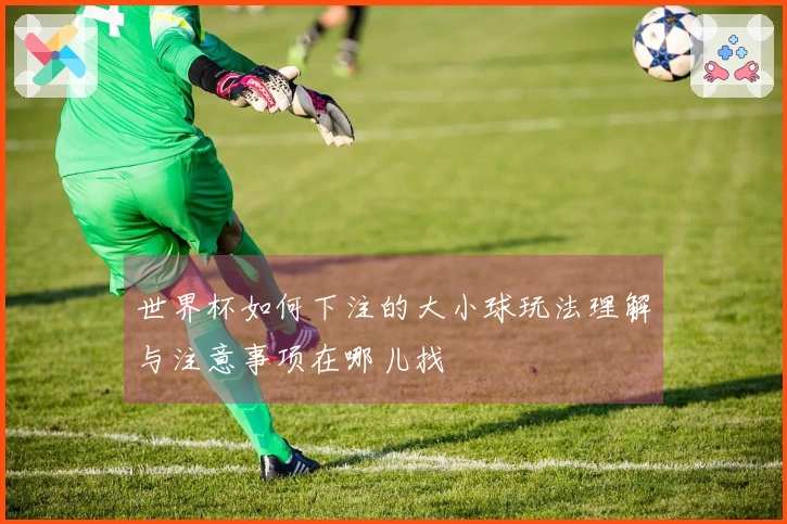 世界杯如何下注的大小球玩法理解与注意事项在哪儿找