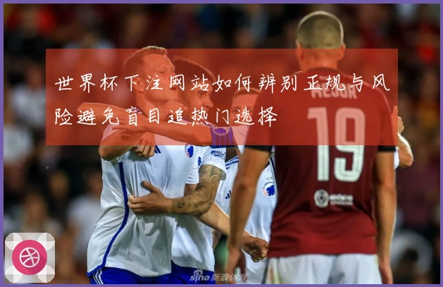 世界杯下注网站如何辨别正规与风险避免盲目追热门选择