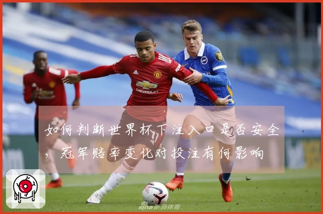 如何判断世界杯下注入口是否安全，冠军赔率变化对投注有何影响