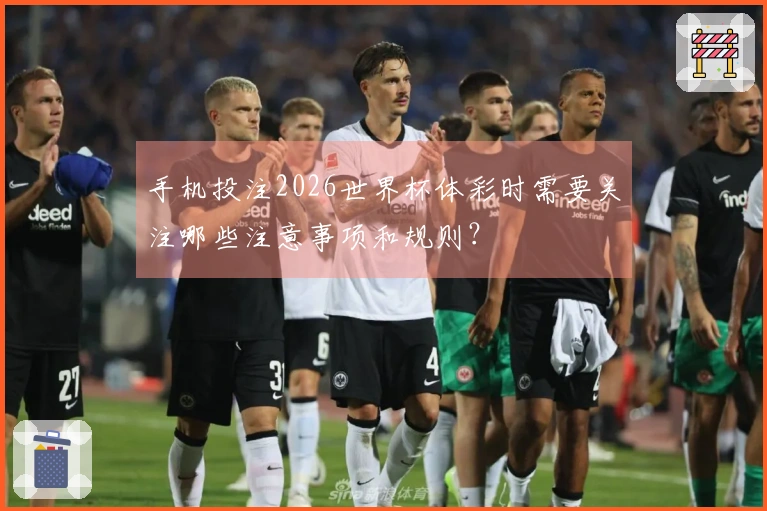 手机投注2026世界杯体彩时需要关注哪些注意事项和规则？
